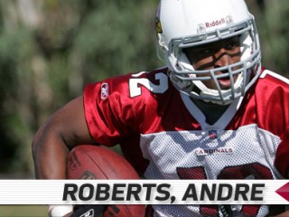 Andre Roberts picture, image, poster